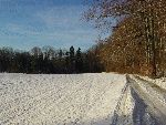 Winterlandschaft