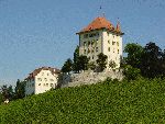 Schloss Heidegg